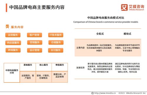 2023年中國(guó)品牌電商服務(wù)商行業(yè)研究報(bào)告 互聯(lián)網(wǎng)信息服務(wù)視角